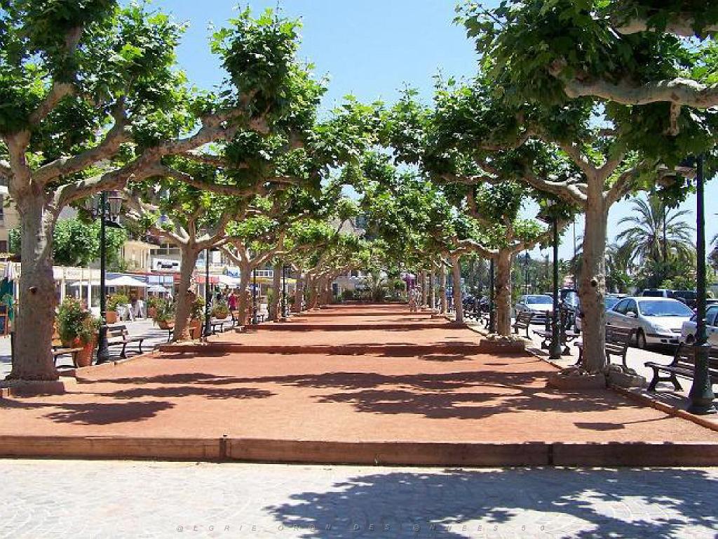 183 D36 LE LAVANDOU_000071.jpg
